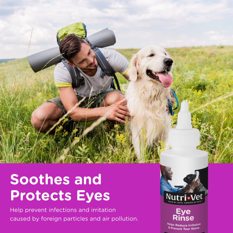Eye Rinse for Dogs 1