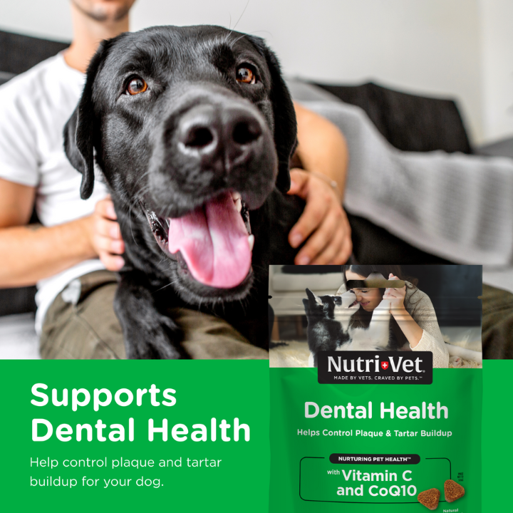 Dental Health Soft Chews for dog dental hygiene