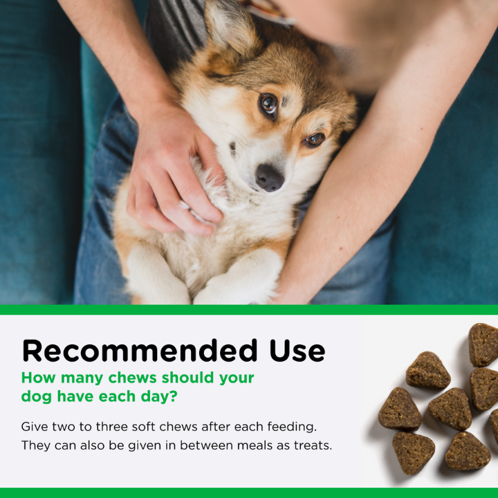 Dental Health Soft Chews recommended use
