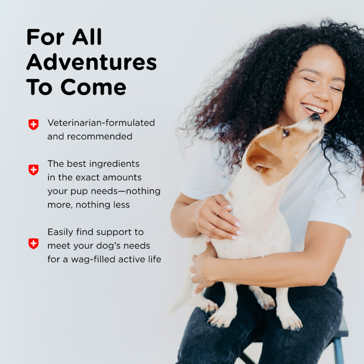 for all adventures to come dogs