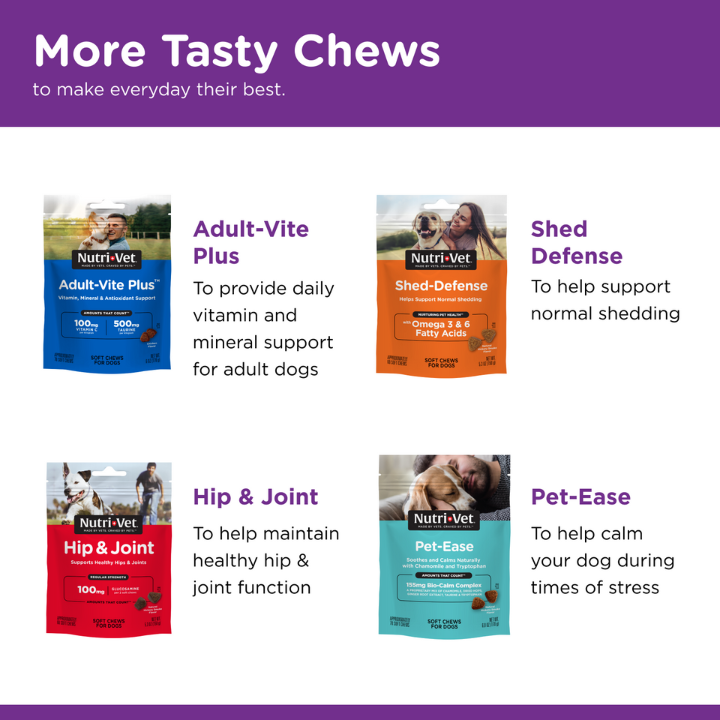 Pre and Probiotic Soft Chews more tasty chews