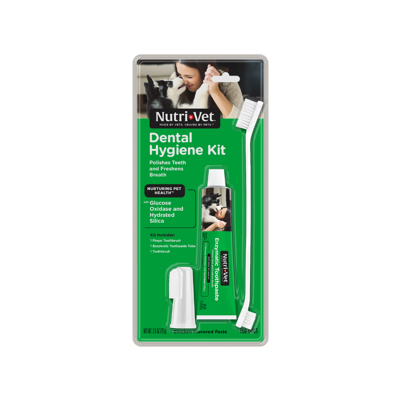 Dental Hygiene Kit front
