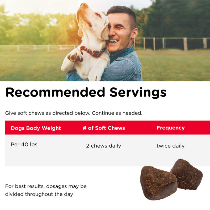 Hip & Joint Regular Strength Soft Chews recommended servings
