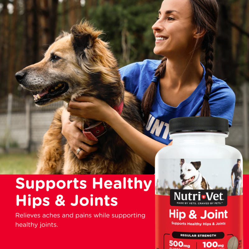 Hip and Joint Regular Strength Chewable Tablets