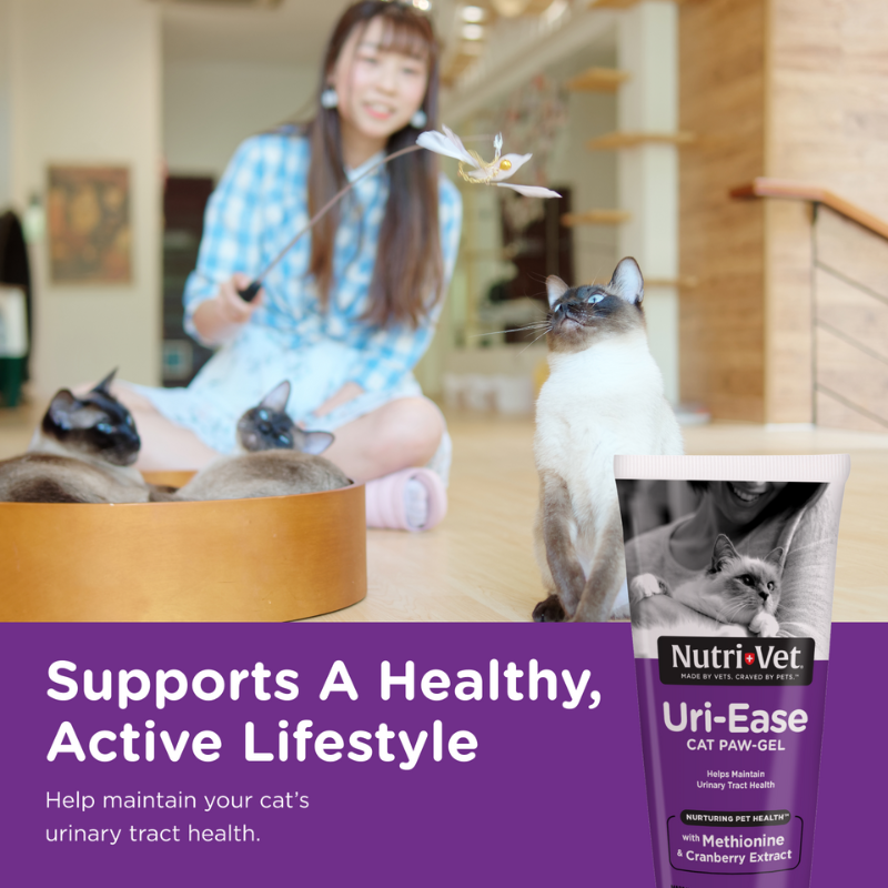 Uri-Ease Paw Gel urinary gel for cats